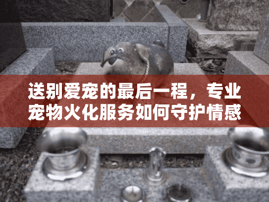 送别爱宠的最后一程，专业宠物火化服务如何守护情感尊严？