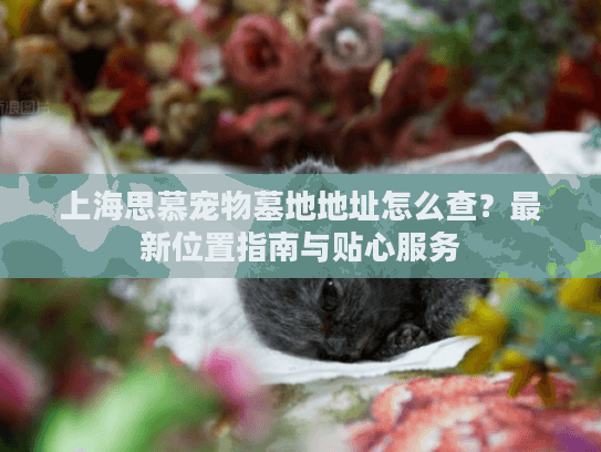 上海思慕宠物墓地地址怎么查？最新位置指南与贴心服务
