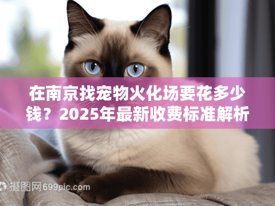 在南京找宠物火化场要花多少钱？2025年最新收费标准解析