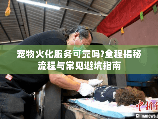 宠物火化服务可靠吗?全程揭秘流程与常见避坑指南