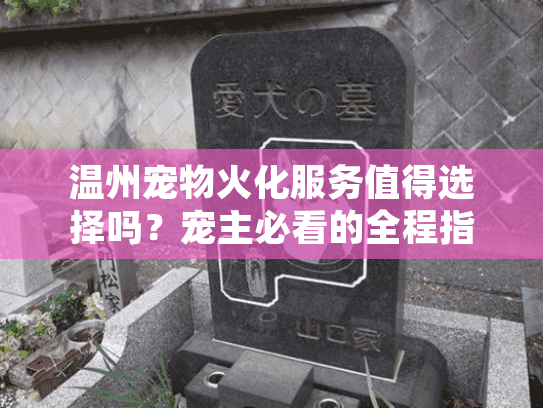 温州宠物火化服务值得选择吗？宠主必看的全程指南