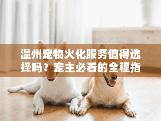 温州宠物火化服务值得选择吗？宠主必看的全程指南