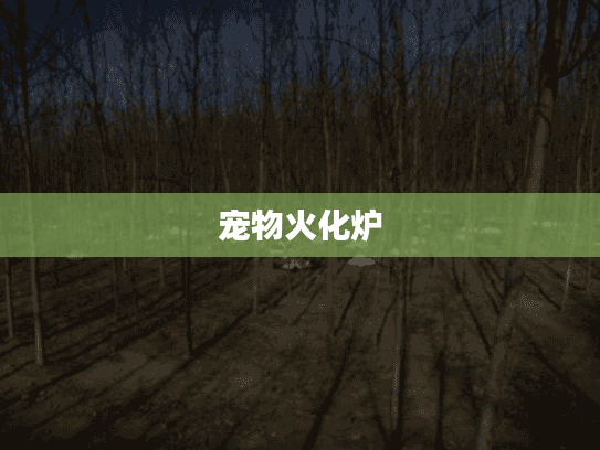 宠物火化炉