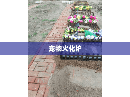 宠物火化炉