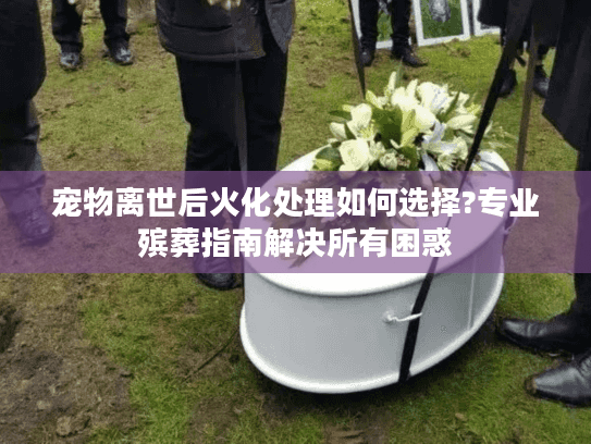 宠物离世后火化处理如何选择?专业殡葬指南解决所有困惑