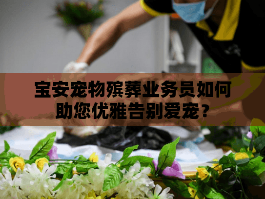 宝安宠物殡葬业务员如何助您优雅告别爱宠？