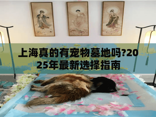上海真的有宠物墓地吗?2025年最新选择指南