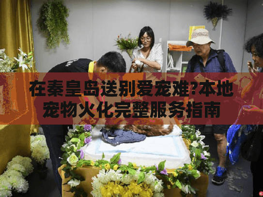 在秦皇岛送别爱宠难?本地宠物火化完整服务指南