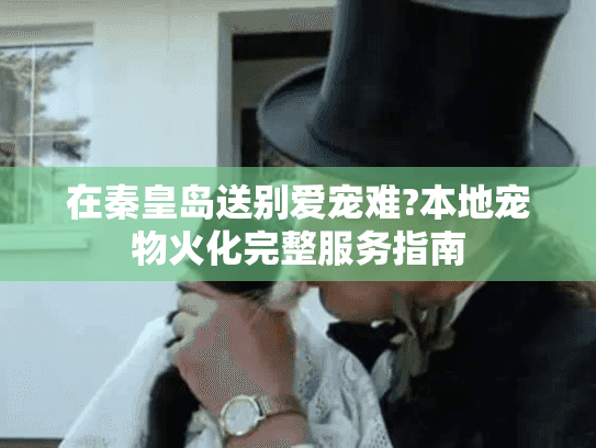在秦皇岛送别爱宠难?本地宠物火化完整服务指南