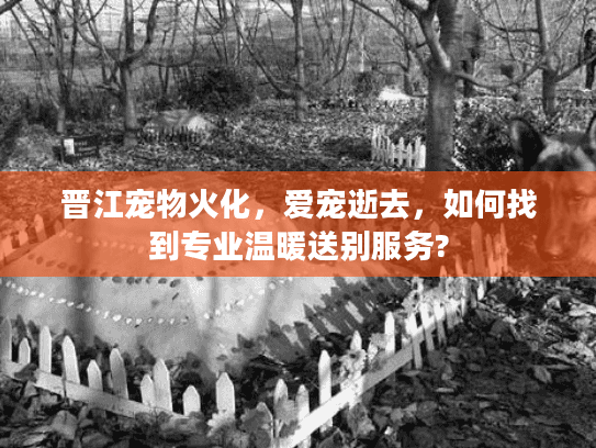 晋江宠物火化，爱宠逝去，如何找到专业温暖送别服务?
