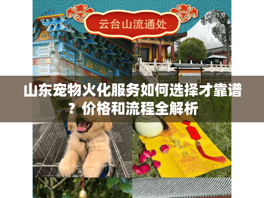 山东宠物火化服务如何选择才靠谱？价格和流程全解析