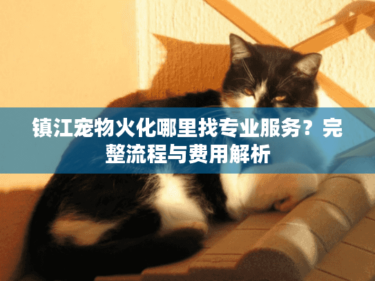 镇江宠物火化哪里找专业服务？完整流程与费用解析