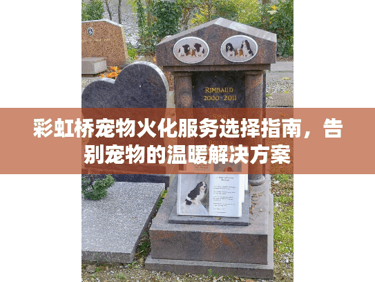 彩虹桥宠物火化服务选择指南，告别宠物的温暖解决方案