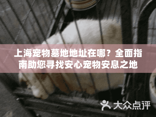上海宠物墓地地址在哪？全面指南助您寻找安心宠物安息之地