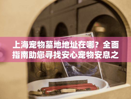 上海宠物墓地地址在哪？全面指南助您寻找安心宠物安息之地