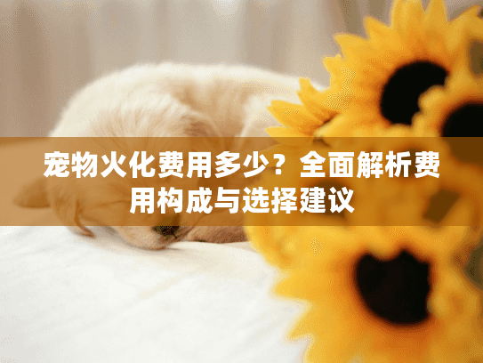 宠物火化费用多少？全面解析费用构成与选择建议