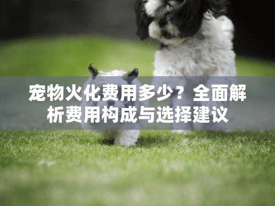 宠物火化费用多少？全面解析费用构成与选择建议
