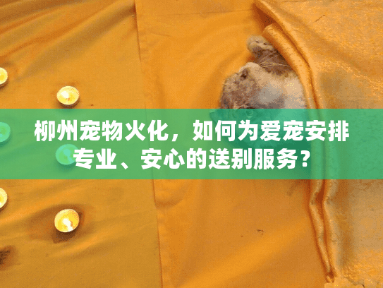 柳州宠物火化，如何为爱宠安排专业、安心的送别服务？