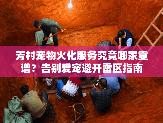 芳村宠物火化服务究竟哪家靠谱？告别爱宠避开雷区指南