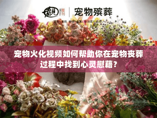 宠物火化视频如何帮助你在宠物丧葬过程中找到心灵慰藉？