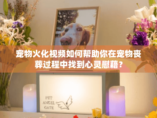 宠物火化视频如何帮助你在宠物丧葬过程中找到心灵慰藉？