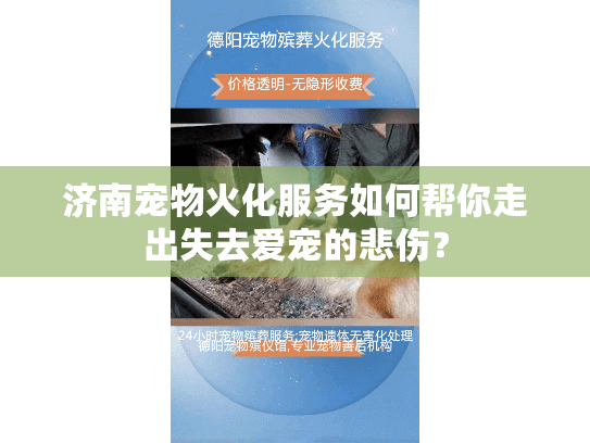 济南宠物火化服务如何帮你走出失去爱宠的悲伤？
