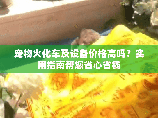 宠物火化车及设备价格高吗？实用指南帮您省心省钱