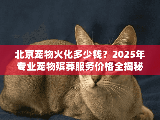 北京宠物火化多少钱？2025年专业宠物殡葬服务价格全揭秘