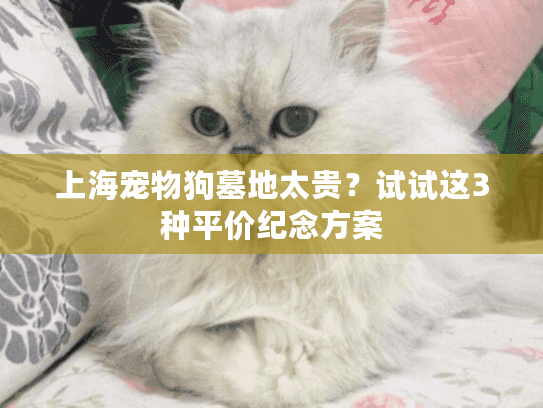 上海宠物狗墓地太贵？试试这3种平价纪念方案