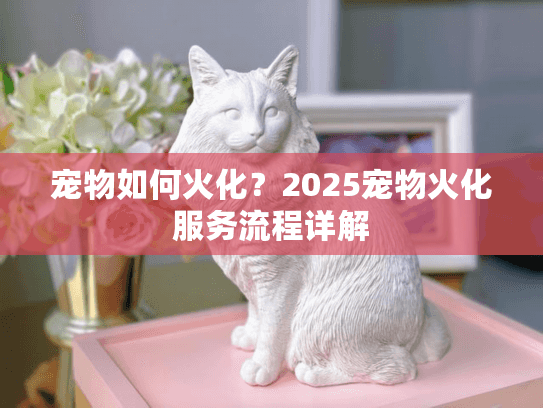 宠物如何火化？2025宠物火化服务流程详解