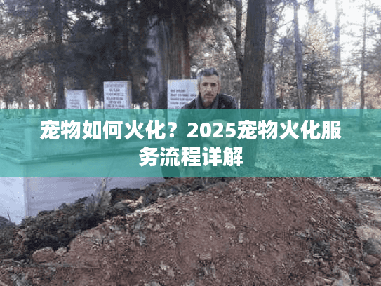 宠物如何火化？2025宠物火化服务流程详解