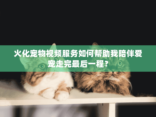 火化宠物视频服务如何帮助我陪伴爱宠走完最后一程？
