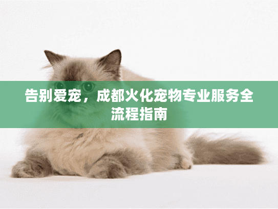 告别爱宠，成都火化宠物专业服务全流程指南