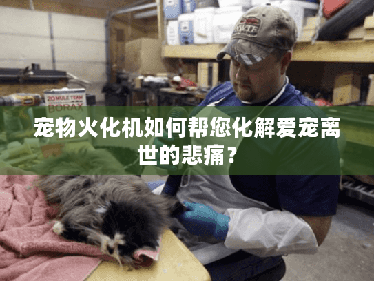 宠物火化机如何帮您化解爱宠离世的悲痛？