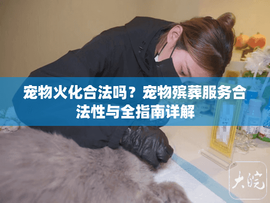 宠物火化合法吗？宠物殡葬服务合法性与全指南详解