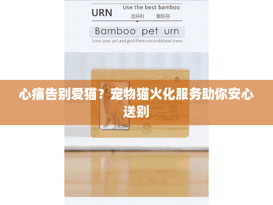 心痛告别爱猫？宠物猫火化服务助你安心送别
