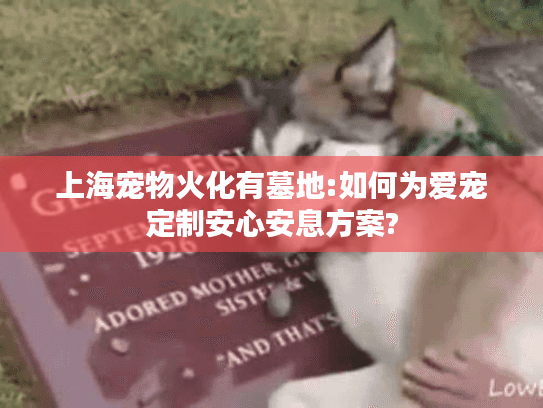 上海宠物火化有墓地:如何为爱宠定制安心安息方案?
