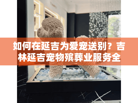 如何在延吉为爱宠送别？吉林延吉宠物殡葬业服务全解析