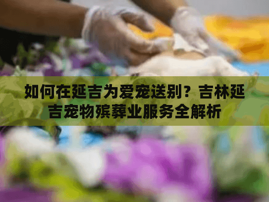 如何在延吉为爱宠送别？吉林延吉宠物殡葬业服务全解析