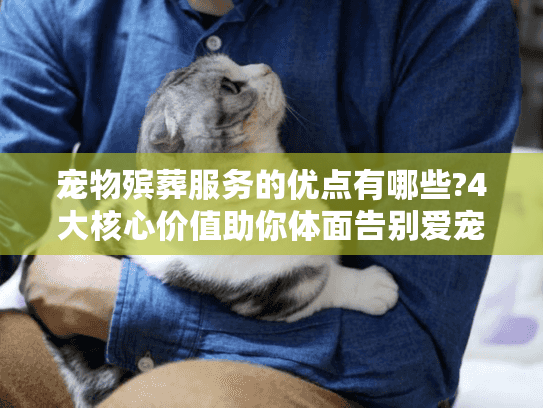 宠物殡葬服务的优点有哪些?4大核心价值助你体面告别爱宠