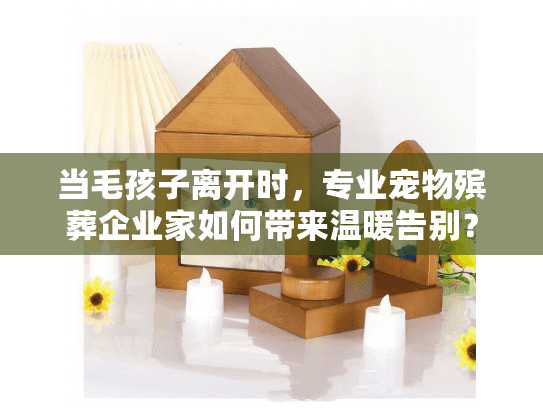 当毛孩子离开时，专业宠物殡葬企业家如何带来温暖告别？