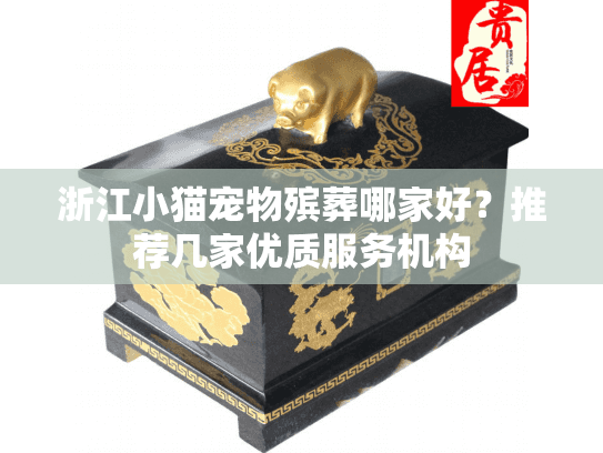 浙江小猫宠物殡葬哪家好？推荐几家优质服务机构