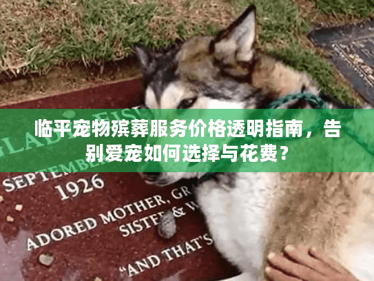 临平宠物殡葬服务价格透明指南，告别爱宠如何选择与花费？