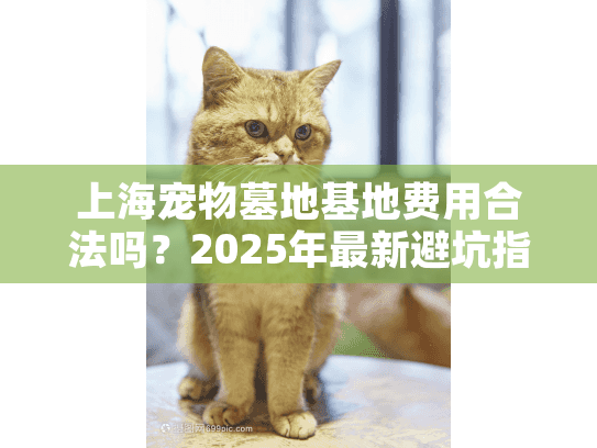 上海宠物墓地基地费用合法吗？2025年最新避坑指南
