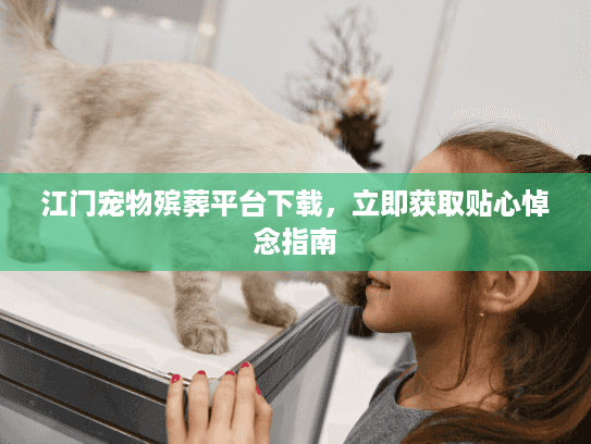 江门宠物殡葬平台下载，立即获取贴心悼念指南