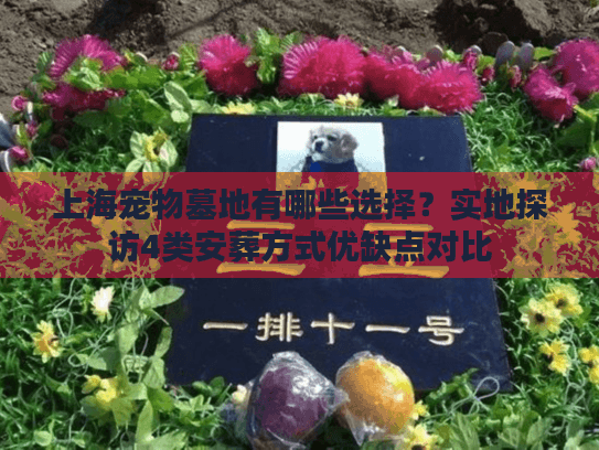 上海宠物墓地有哪些选择？实地探访4类安葬方式优缺点对比
