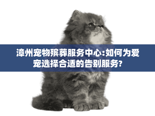 漳州宠物殡葬服务中心:如何为爱宠选择合适的告别服务?