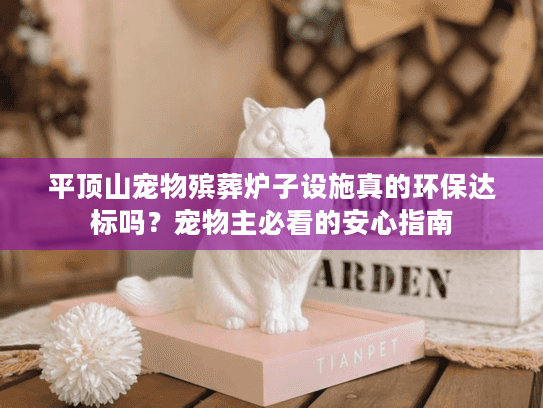 平顶山宠物殡葬炉子设施真的环保达标吗？宠物主必看的安心指南