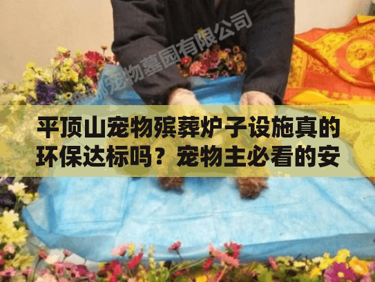 平顶山宠物殡葬炉子设施真的环保达标吗？宠物主必看的安心指南