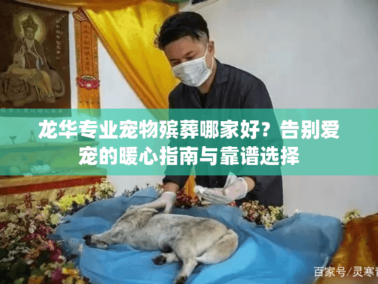 龙华专业宠物殡葬哪家好？告别爱宠的暖心指南与靠谱选择